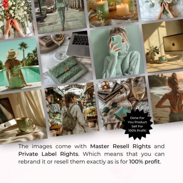 forever green stock photos 3