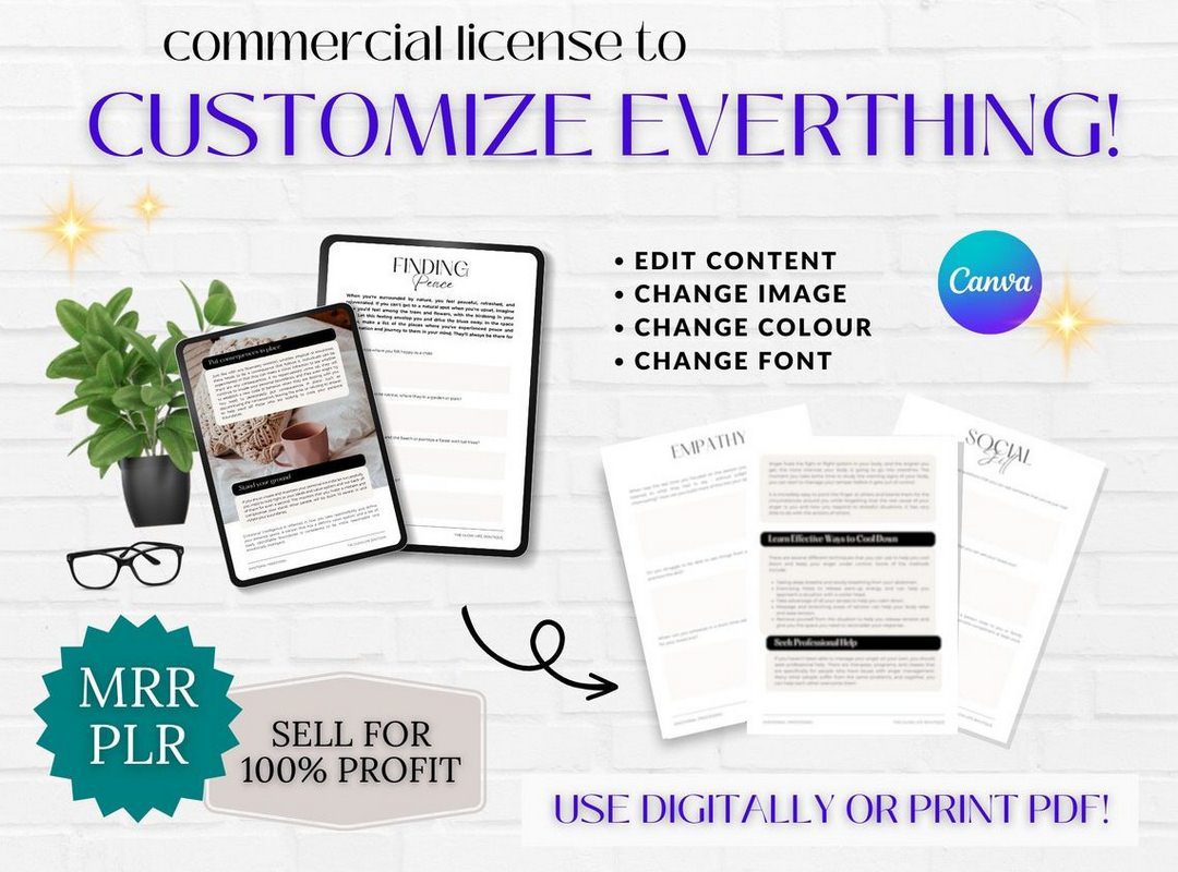 Done for You Processing Emotions Guide with MRR/PLR - Ultimate Coaching Kit