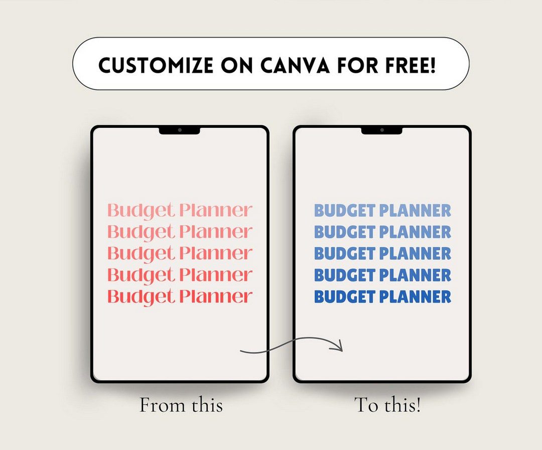 Done for You Budget Planner with MRR/PLR - Ultimate Coaching Kit