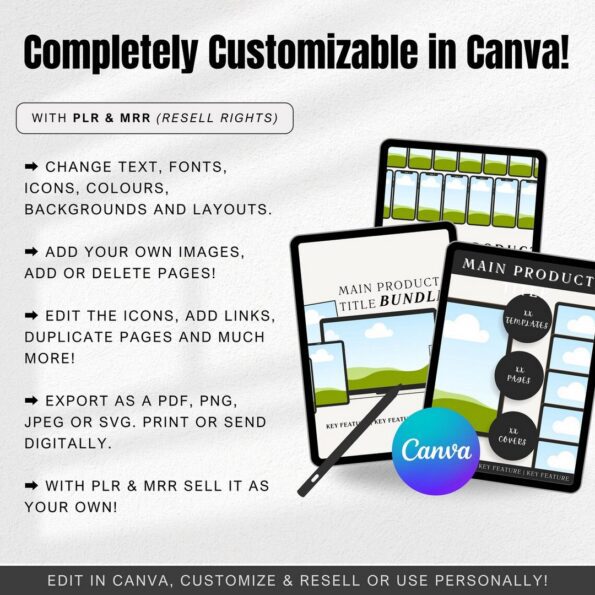digital products listing mockups 3 6