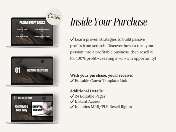 done for you passive profit mini course 3